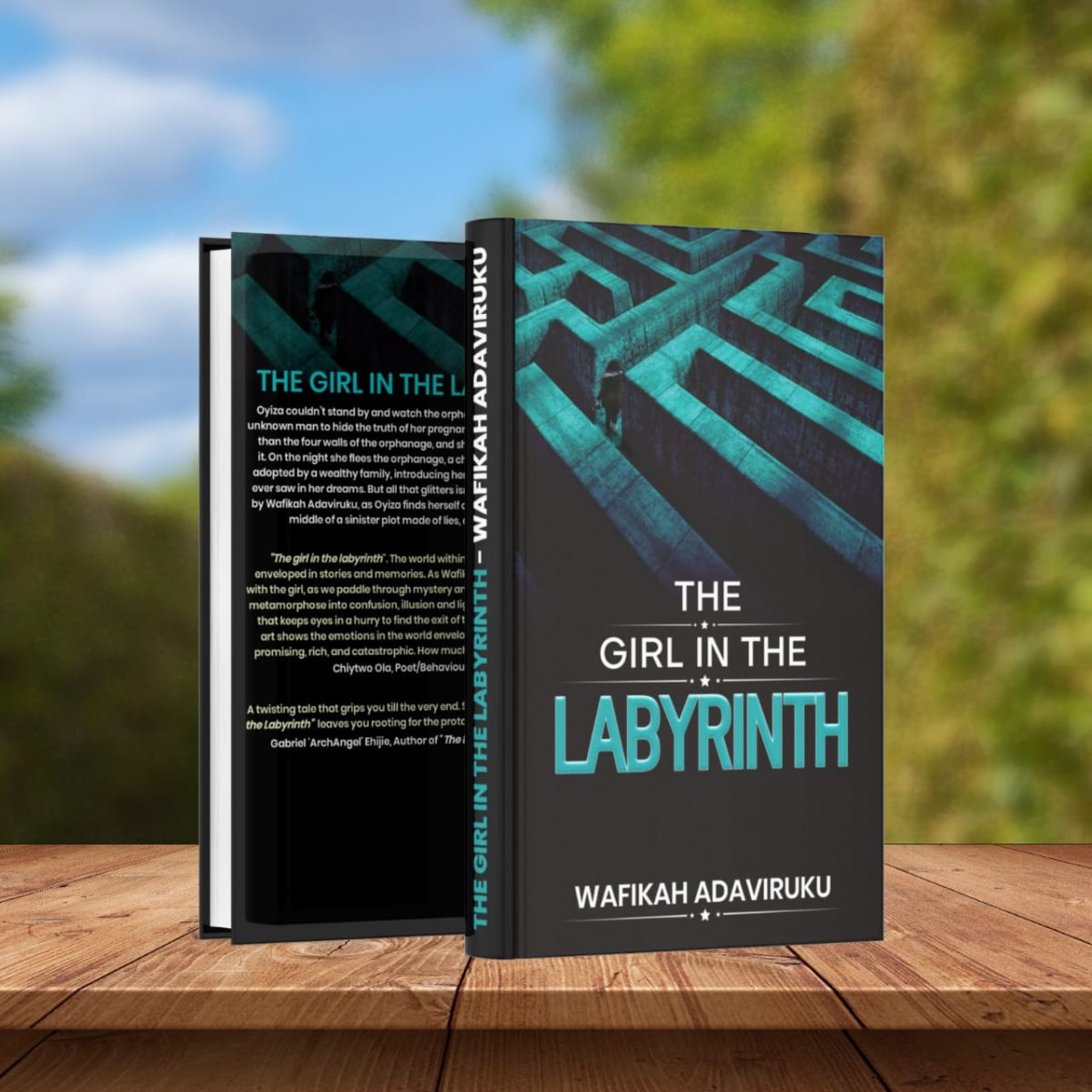 The Girl In The Labyrinth