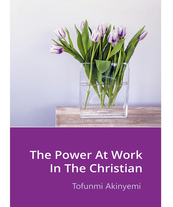 The Power at Work in the Christian by Tofunmi Akinyemi