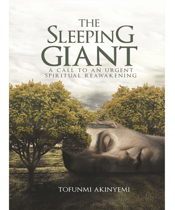 The Sleeping Giant by Tofunmi Akinyemi