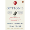 Option B: Facing Adversity, Building Resilience, and Finding Joy
