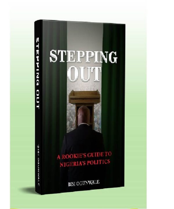 Stepping Out: A Rookie's Guide To Nigeria's Politics