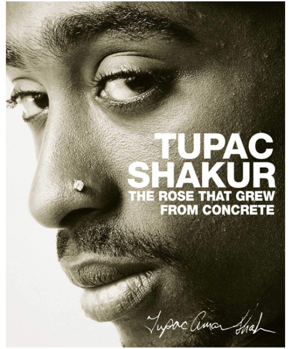 The Rose That Grew From Concrete