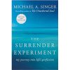 The Surrender Experiment: My Journey into Life's Perfection