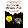 Emotional Intelligence: Why It Can Matter More Than IQ