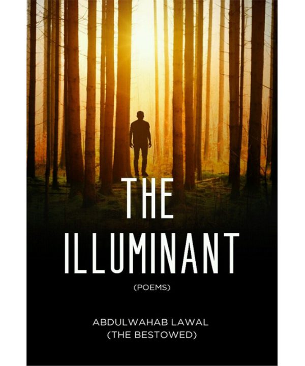The Illuminant