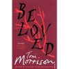 beloved book by toni morison