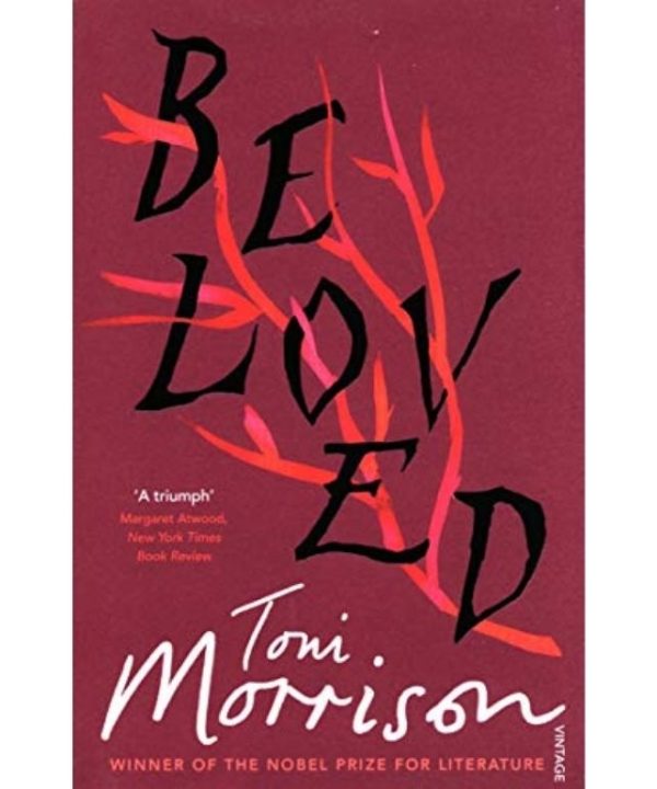 beloved book by toni morison