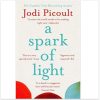 A Spark of Light