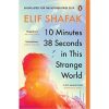 10 Minutes 38 Seconds in this Strange World book