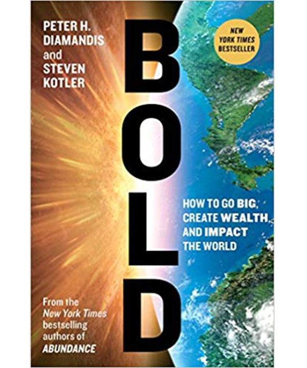 Bold: How to Go Big, Create Wealth, and Impact the World (Exponential Technology)