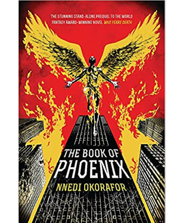 The Book of Phoenix Paperback