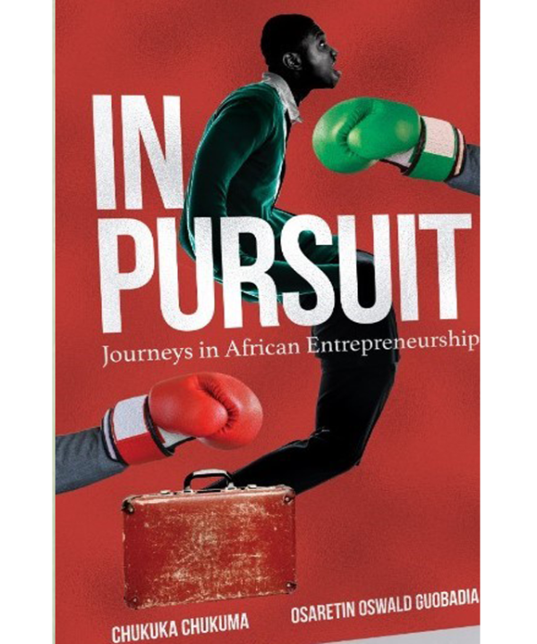 In Pursuit - Journeys in African Entrepreneurship