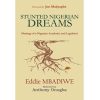 Stunted Nigerian Dreams: Musings of a Nigerian Academic and Legislator