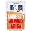 Amnesty