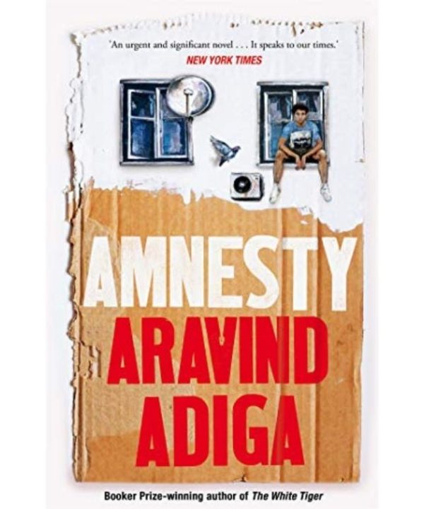 Amnesty