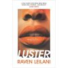 Luster by Raven Leilani