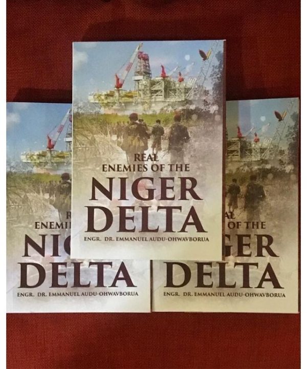 The Real Enemies of the Niger Delta