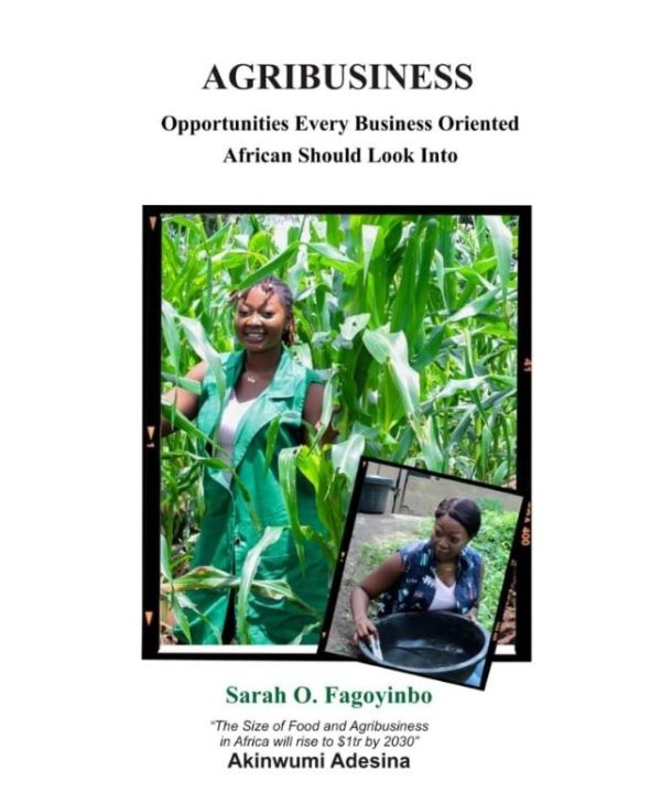 Agribusiness: Opportunities Every Business Oriented African Should Look Into
