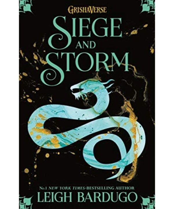 siege and storm book