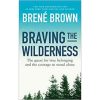 braving the wilderness book