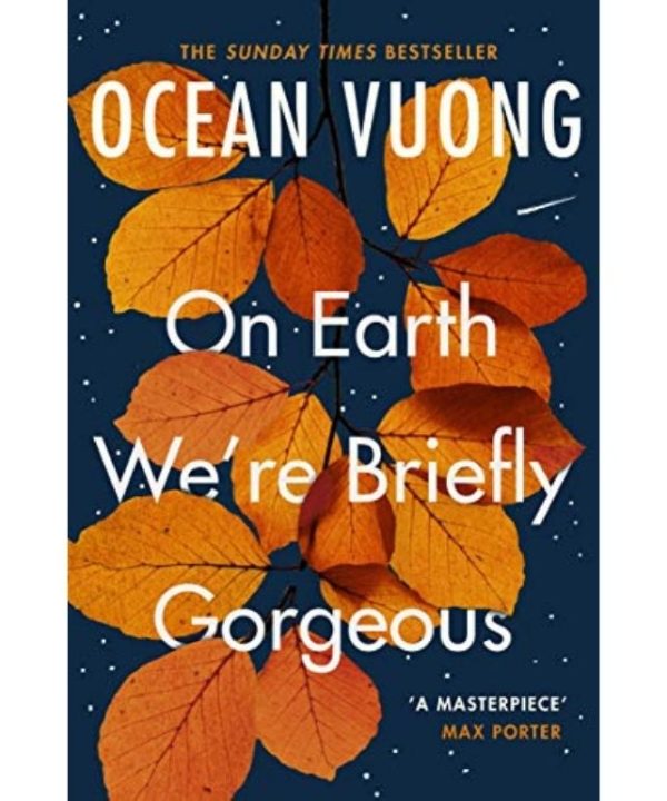on earth we're briefly gorgeous book