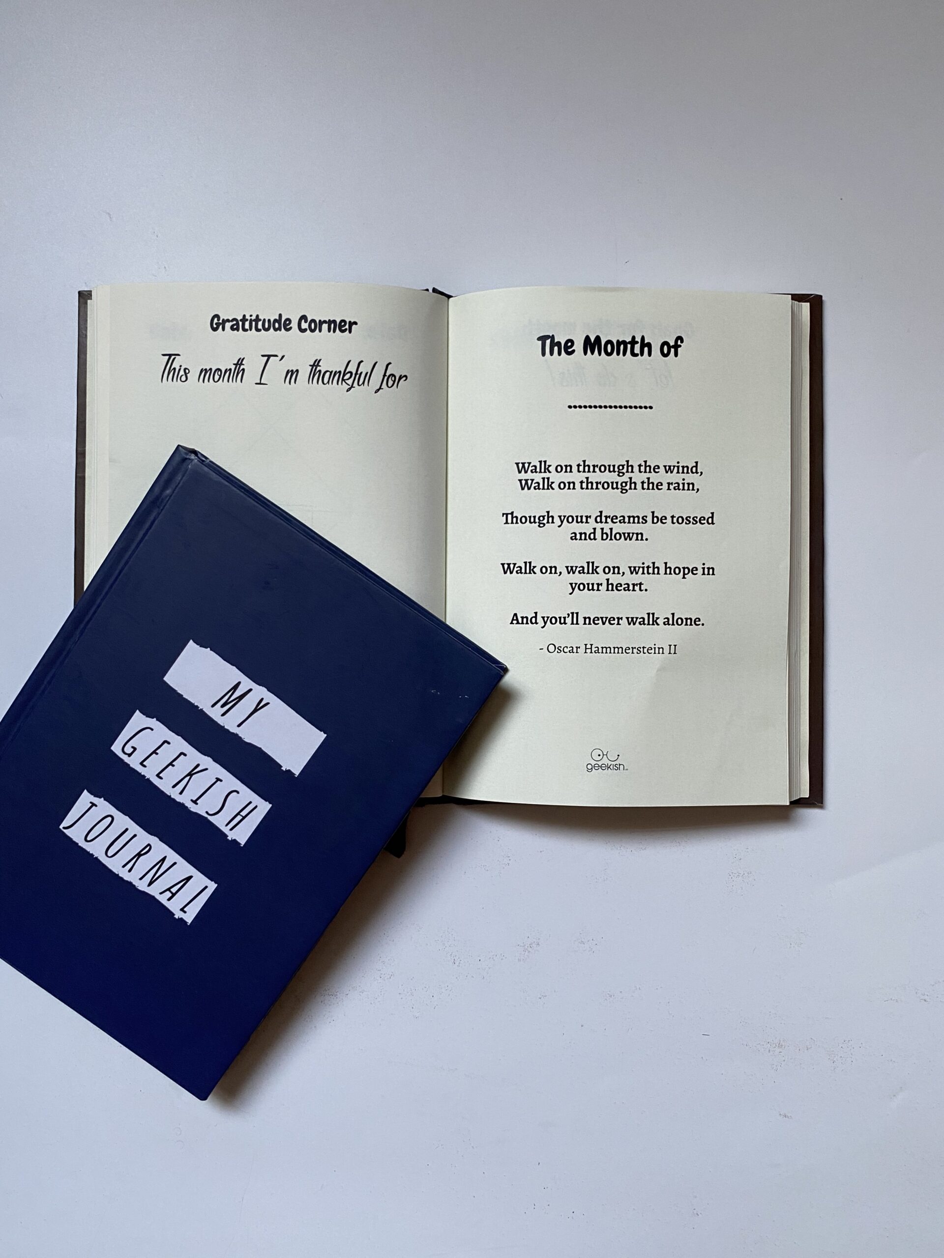 My Geekish Journal - Image 2