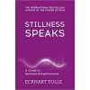 Stillness speaks book