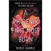 A Phoenix First Must Burn book