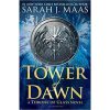 tower of dawn book