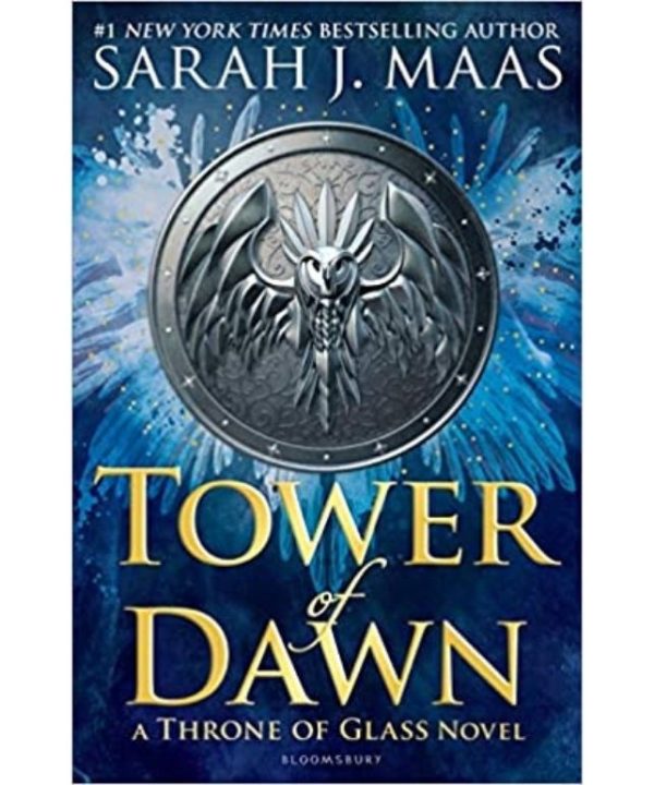 tower of dawn book