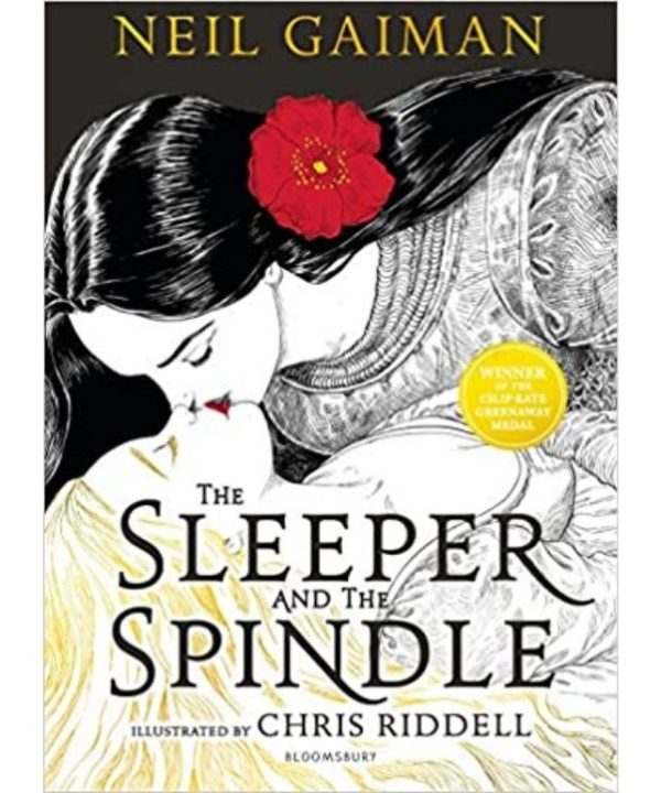 The Sleeper and the Spindle book