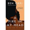 a fire in my head book