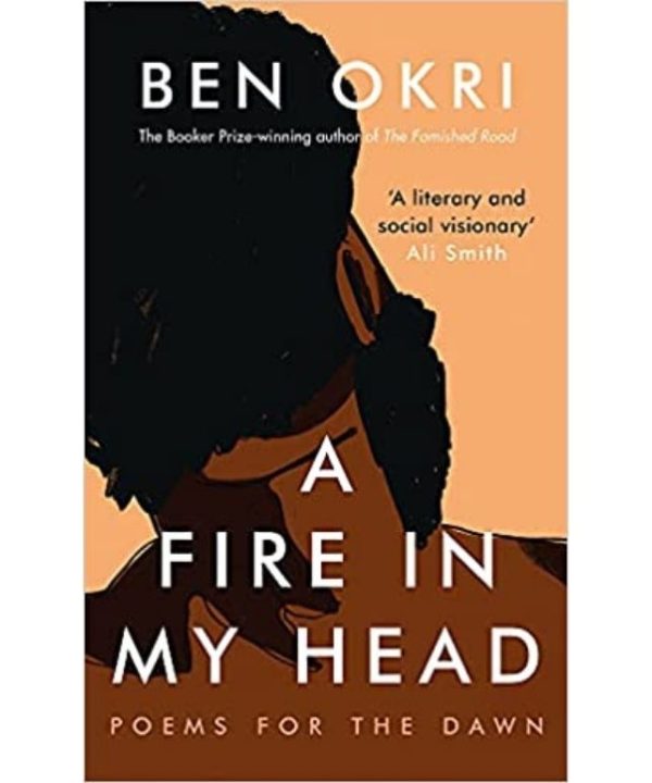 a fire in my head book