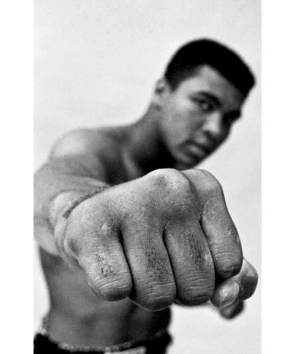 ali a life book