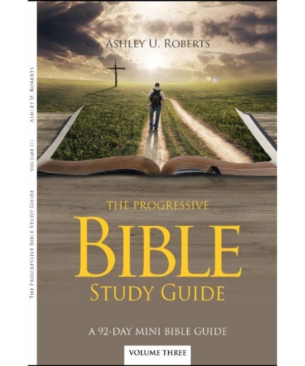 The Progressive Bible Study Guide Vol 3