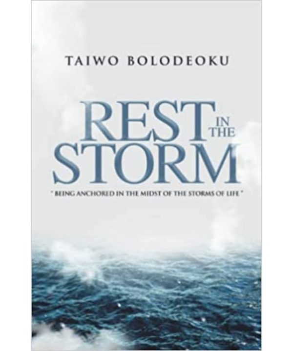 rest in the storm book