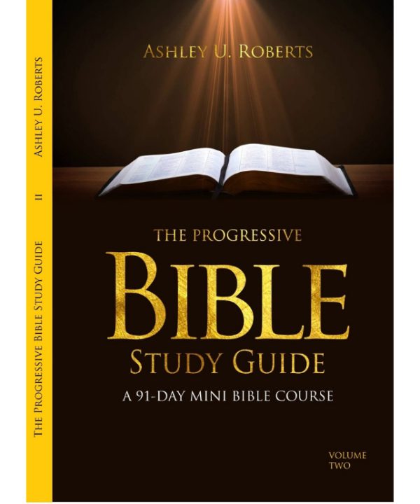 The Progressive Bible Study Guide Vol 2