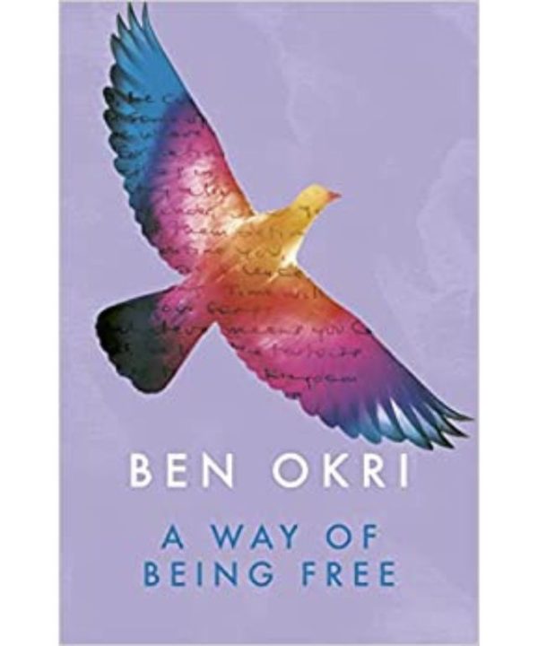 a way of being free book