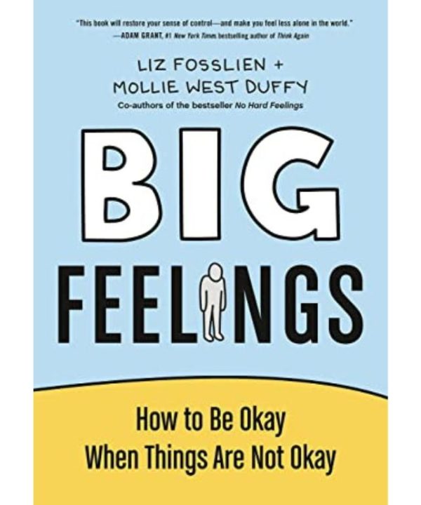 Big Feelings Book