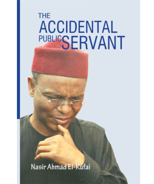 The Accidental Public Servant