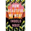 How beautiful we were book