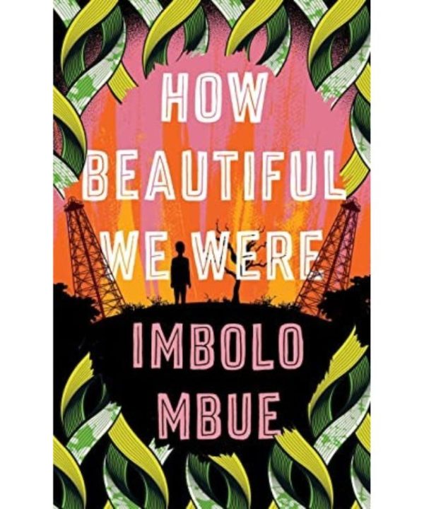 How beautiful we were book