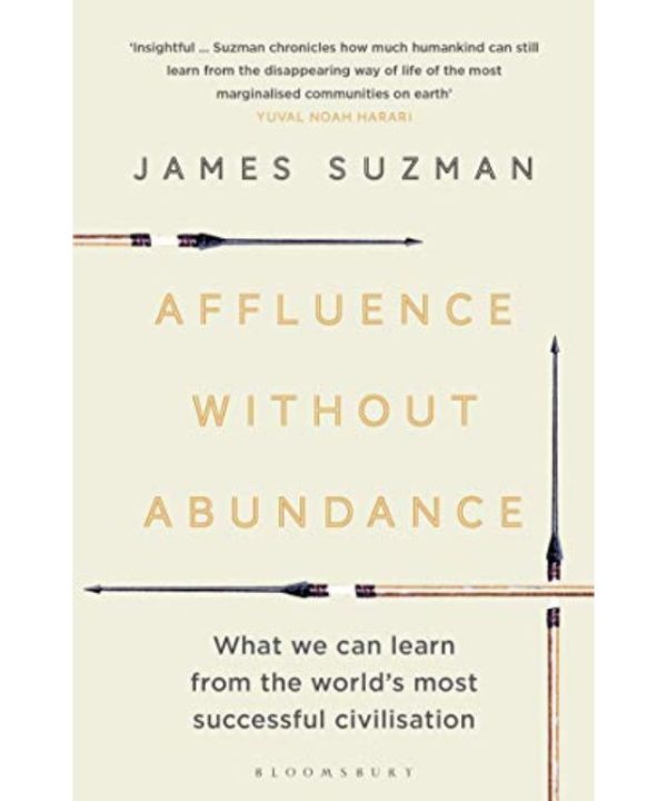 Affluence without Abundance book