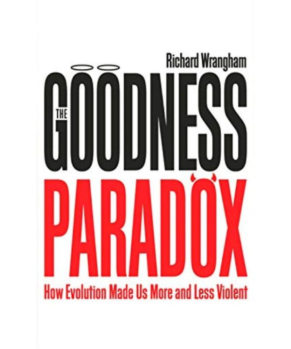 The Goodness Paradox book