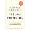 Visual Thinking: The Hidden Gifts of People Who Think in Pictures, Patterns and Abstractions