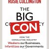 The Big Con: How the Consulting Industry Weakens our Businesses, Infantilizes our Governments and Warps our Economies