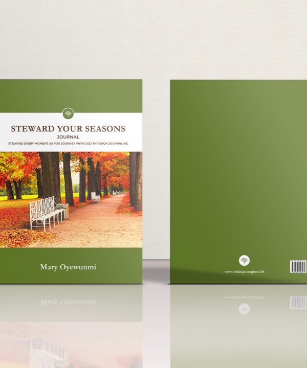 Stewarding Your Silent Seasons Journal