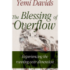The Blessings of Overflow