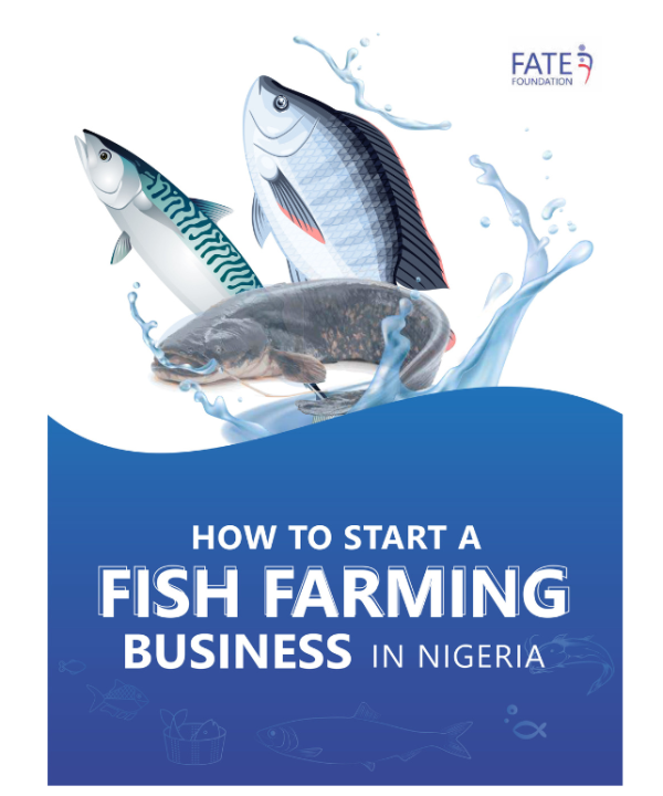 How to Start a Fish Farming Business in Nigeria