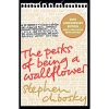 The Perks of Being a Wallflower: the most moving coming-of-age classic